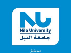 Nile University Jobs