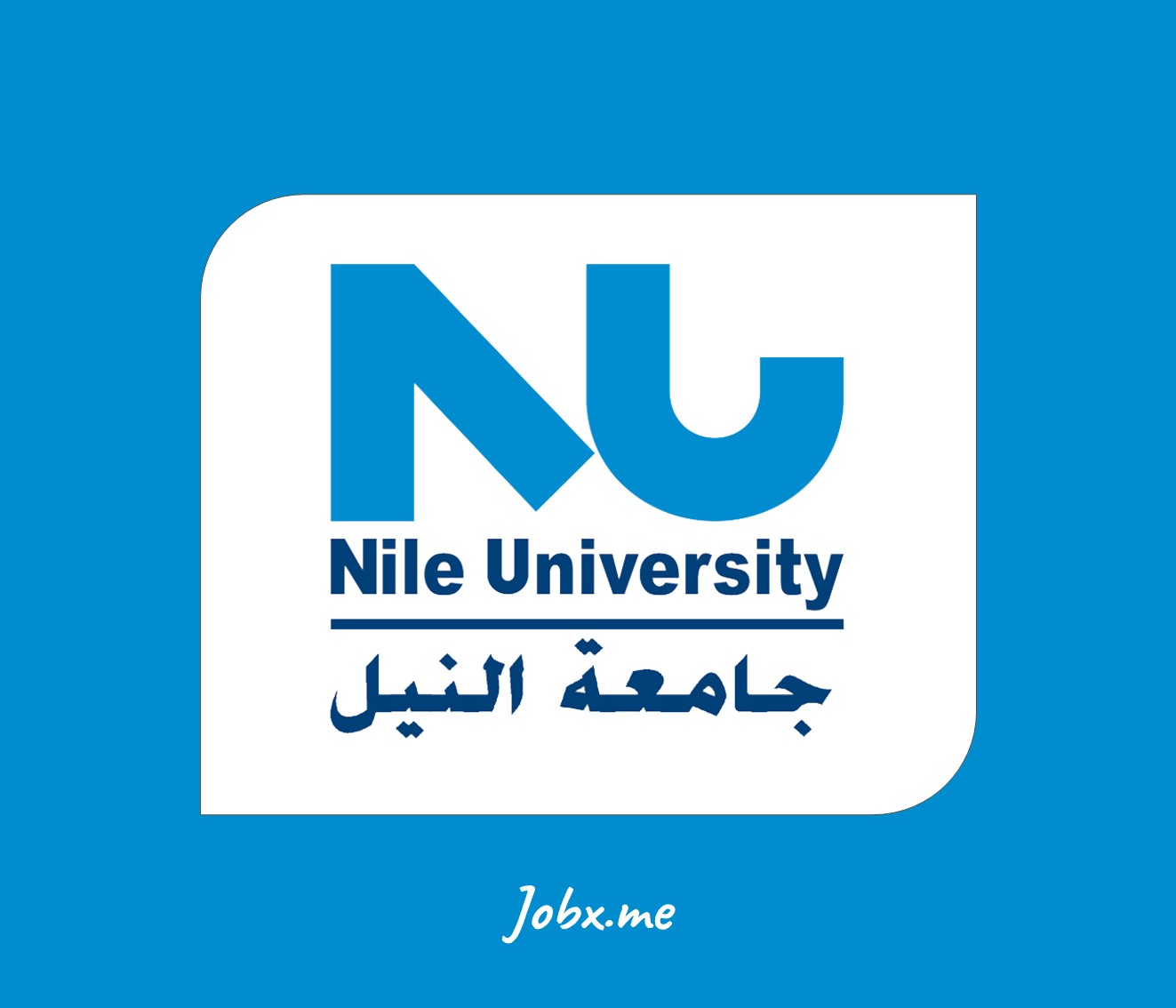 Nile University Jobs